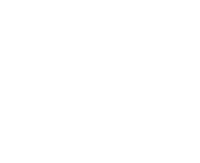 ZinZicht logo